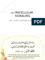 MBBS Intracellular Signaling