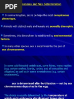 Sex Chromosomes and Sex Determination: in Animal Kingdom, Sex Is Perhaps The Most