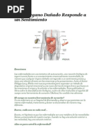 Cada Organo Dañado Responde A Un Sentimiento