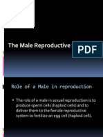 The Reproductive System