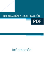 Inflamacion y Cicatrizacion