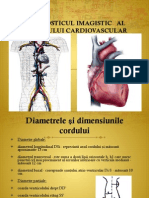 Curs 6 Cardiac 2