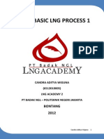 Tugas Basic LNG Process