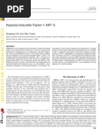 Hypoxia-Inducible Factor-1 (HIF-1) : Minireview