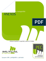 Anexos Programa Pec Autogestion