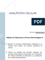 Disrupcion Celular