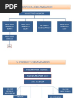 Geographical Organisation: Marketing Manager