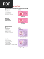 Nama-Nama Gigi Dan Posisi: A. Gigi Susu/gigi Decidui/gigi Primer/gigi Temporer/baby Teeth Tooth Names Positions