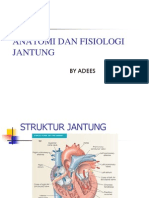 Anatomi Dan Fisiologi Jantung