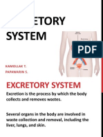 Excretory System