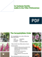 Trichocereus Taxonomy Powerpoint