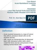 Case Report Anak AML