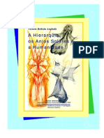 Vba Port A Hierarquia Os Anjos Solares e A Humanidade1