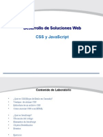 DSW CSS y Javascript