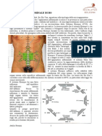 Agopuntura - Addominalebo (Abdominal Acupuncture According Professor Bo)