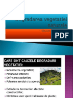 Degradarea Vegetatiei Naturale