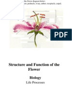 Structure and Function of The Flower Powerpoint