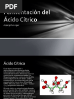 Fermentación Del Ácido Cítrico