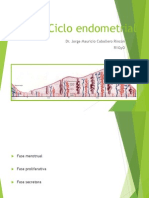 Ciclo Endometrial