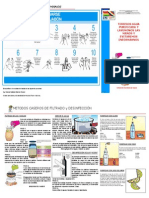 Triptico Purificación1