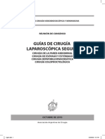 Guia de Cirugia Laparoscopica