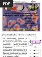 Estandarización de Técnicas de Diagnóstico de Bacterias en Semilla de Papa