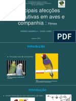 Principais Afecções Reprodutivas em Aves de Companhia - BIOMAS - UFBA