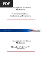 Medidor Multifasico TopFlow Rev1