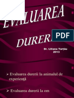 Evaluarea Durerii