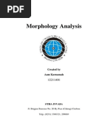 Analysis Morphology in Photography