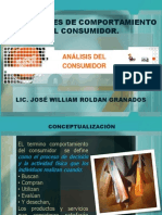 Definiciones de Comportamiento Del Consumidor PDF