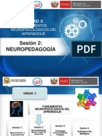 S3-U3 Neuropedagogia