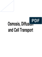 Cell Transport