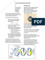 The Structure of DNA