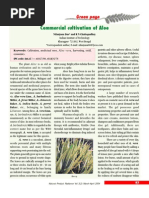 Commercial Cultivation of Aloe