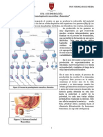 Guía 1 Embriologia