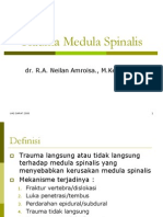 Trauma Medula Spinalis