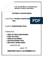 Ensayo de Psicologia y Desarrollo Infantil