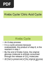 Krebs Cycle PPT 4