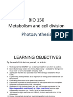 Chap 3 Photosynthesis