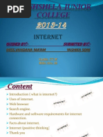 Internet: Guided By:-Submited By