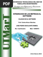 Integracion de Las Metricas Al Software