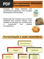 Interação Microrganismos - Alimentos