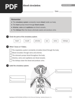 Remember: Blood Circulation
