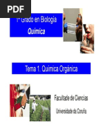 Tema 1. Quimica Organica 2013-14