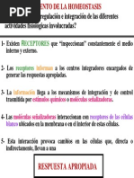 1 - ENDOCRINO-Gralidades