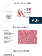 Tejido Estriado Tipos