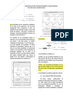 1.-Estructura y Nomenclatura de Nucleósidos y Nucleótidos.