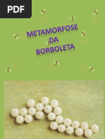 Metamorfose Da Borboleta