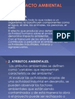 IMPACTO AMBIENTAL - Diapositivas